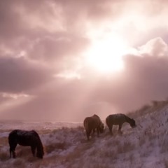 with you I rest on gilded wings