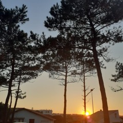 j'ai pas d'idée de titre