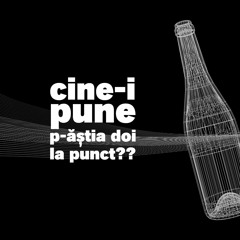 Cine bate covoarele - Marius Aldea