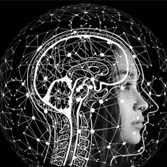 Alternativ N.N. Brishni Brashni Style