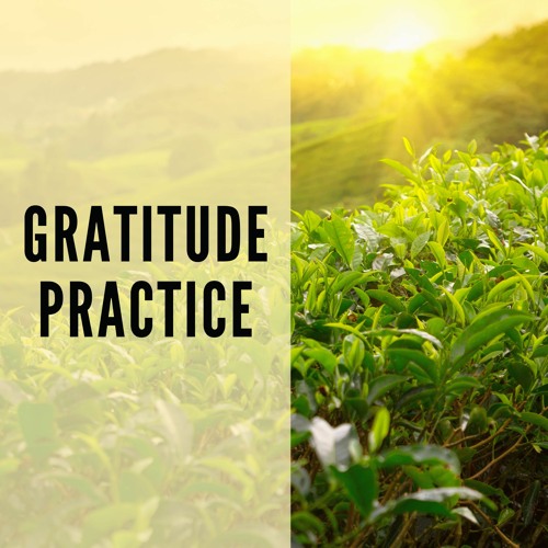 23 // Gratitude Practice