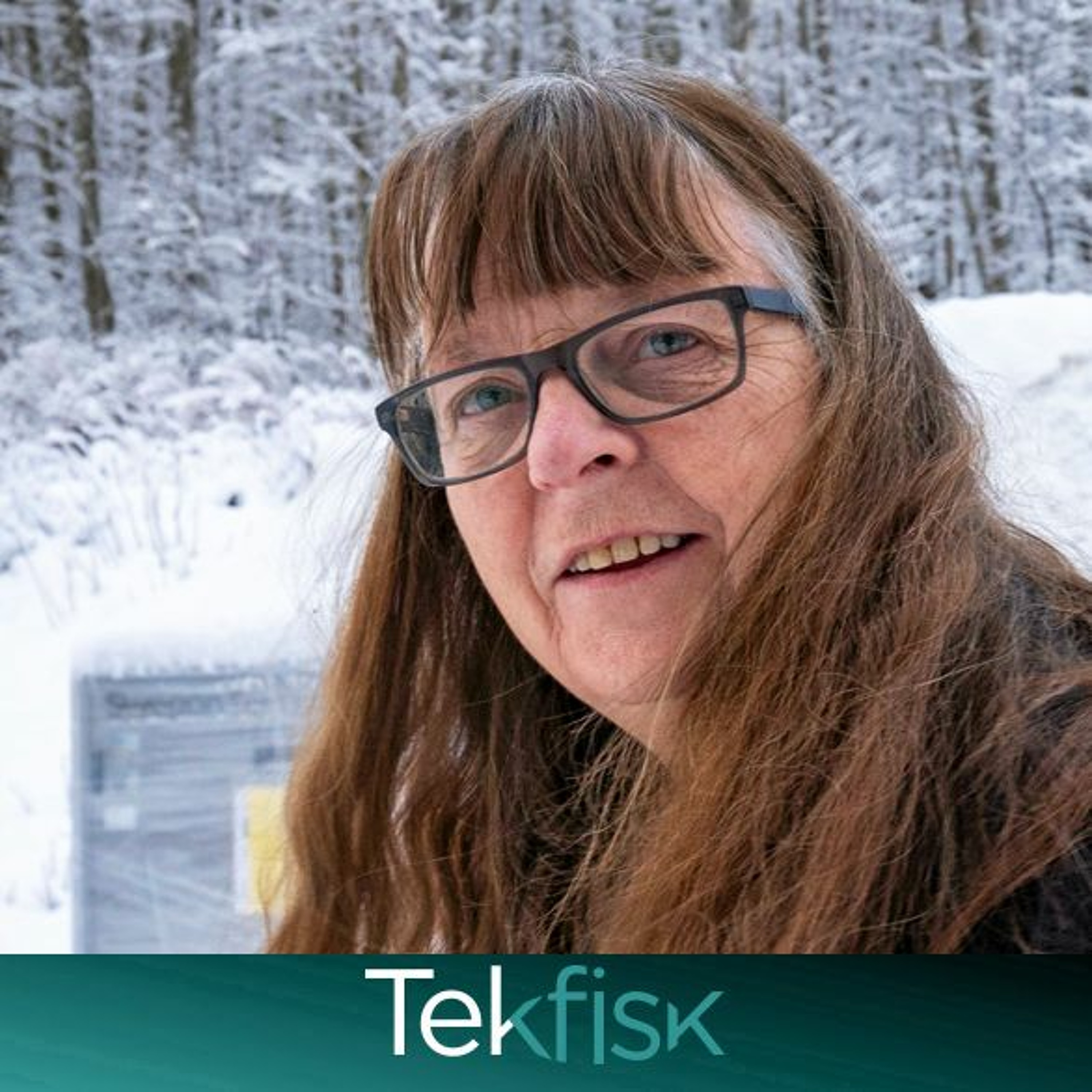 Tekfisk
