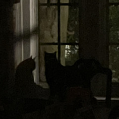 undecided [prod. noevdv]