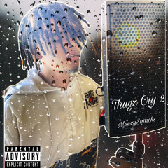 Thugz Cry 2 - MeezySmacks (official audio)
