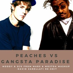 Justin Bieber Vs Coolio - Peaches Vs Gangsta Paradise (Moody & DJsFM Mashup David Zanellati Re-Edit)