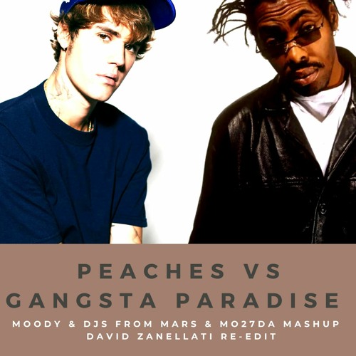 Stream Justin Bieber Vs Coolio Peaches Vs Gangsta Paradise (Moody