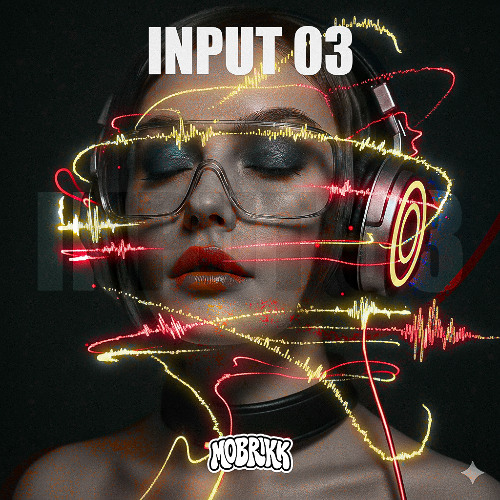 INPUT 03