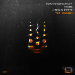 Veil (Does Everybody Love? Remix)