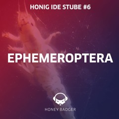 Ephemeroptera live @ Honig i de Stube #6 (28.11.2020)