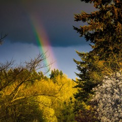 🌈double rainbow🌈