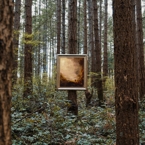 the cost (given for us)