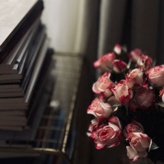 دِفءُ الفُؤاد 🩷