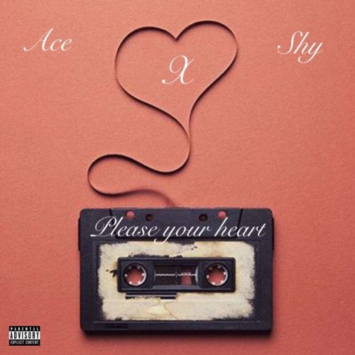 Ace x Shymeer - Please Your Heart
