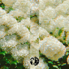 DAILY TIP // Alexis Cabrera - The Less You Hear The More You Listen (Original Mix) [Cadence Noire]