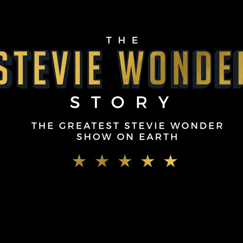 The Stevie Wonder Story