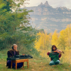 Soul Solace | Calm & Harmonising Nervous System | Healing Flow with Violin, Piano & Synthesizer