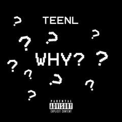 TeeNL - Why?