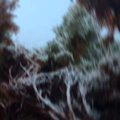 heaven closed its borders