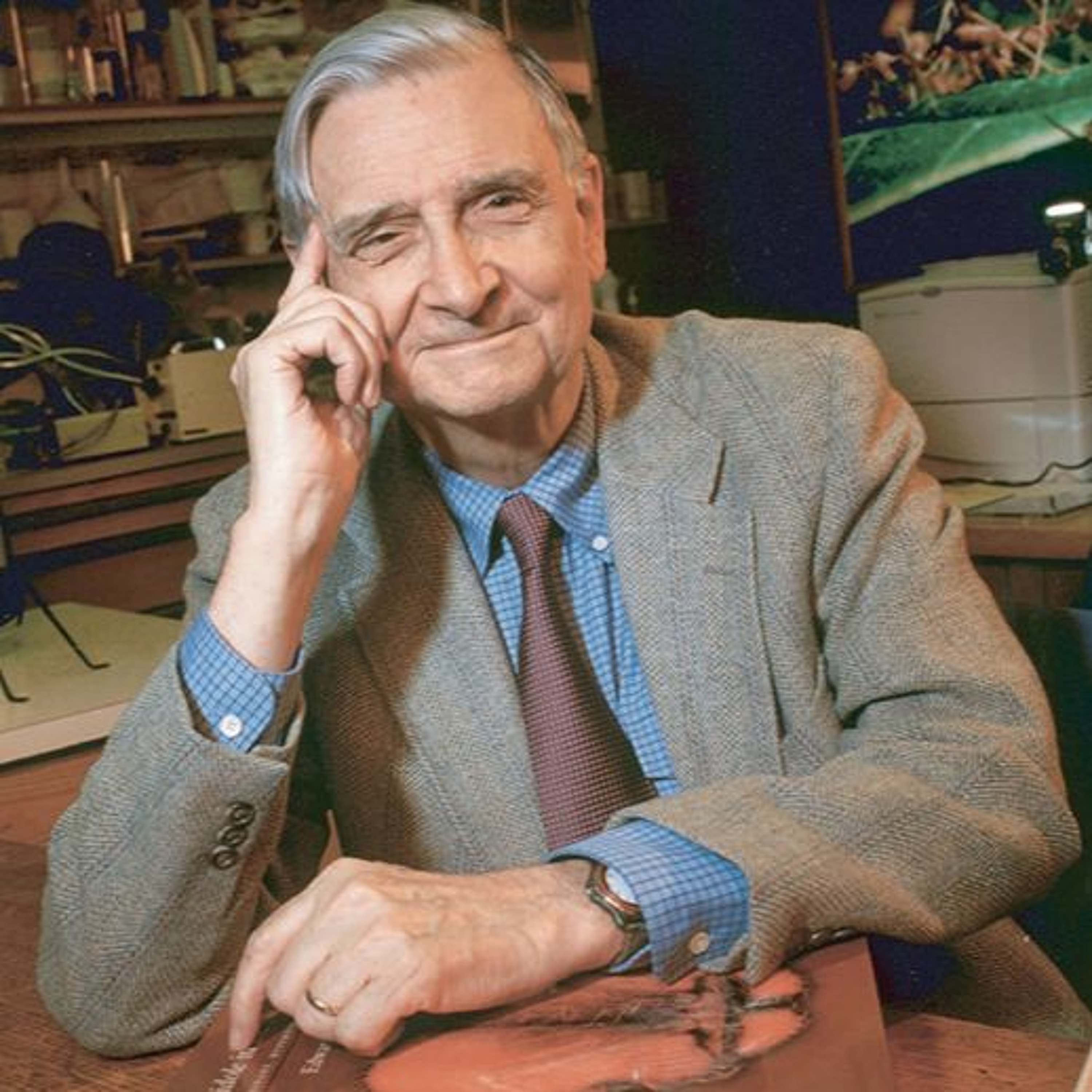 Remembering Naturalists E.O. Wilson and Tom Lovejoy, Winter Wildfires in a Changing Climate episode artwork