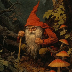 Blod Besvimelse - Misanthrop (Gnome VS Knights song)