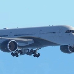 Infinite Flight Simulator Mod APK 23.1.1: The Best Simulation Game for Android