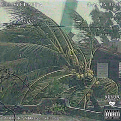 Ganja Boy (Prod.Grandmastafunk)