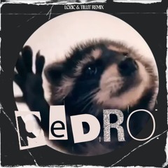 Raffaella Carrà - Pedro (LOZIC & TILLIT Remix) | FREE DOWNLOAD |