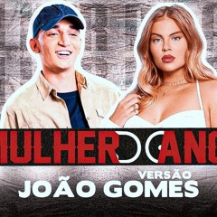 Luisa Sonza - Melhor Do Ano - VERSÃO JOÃO GOMES [PISEIRO] X [FORRÓ]
