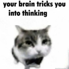 your brain tricks you into thinking (p. oddwin)