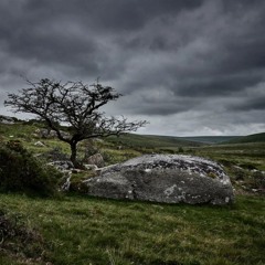 THE DUSTY WIZARD - Rain-Soaked, Grey-Green And Windswept Lands Of My Heart