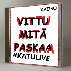 130 Euron Taksimatka (vittu Mitä Paskaa)