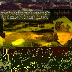 Crazy Minds - Hayden Hoemke (Mastered By Landon Hoemke)