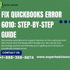 QuickBooks Error 6010: Your Ultimate Fixing Guide