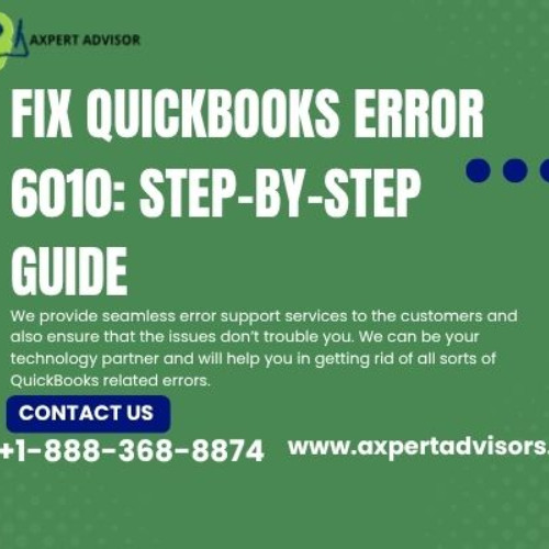 QuickBooks Error 6010: Your Ultimate Fixing Guide