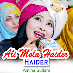 Ali Mola Haider Haider
