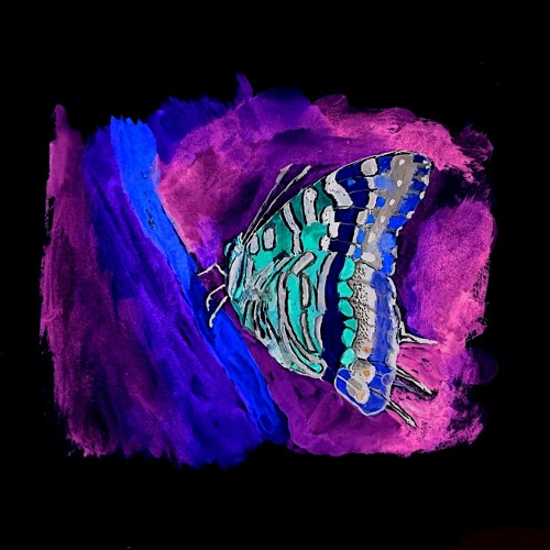 Jasius - Demo