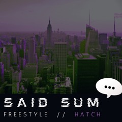 Said Sum (Freestyle)