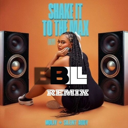 Shake It To The Max (B-ILL Remix) - Moliy & Silent Addy