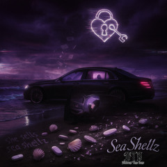Sea Shellz