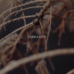 KizoKiz - Tarraxito (Audio Official)