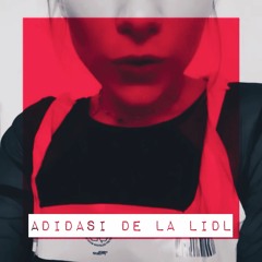 Adidasi De La Lidl