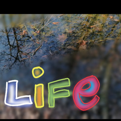 DAT 14 -     break°CL... continued after 23 years