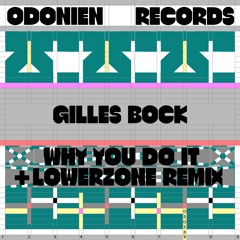 Gilles Bock - Why You Do It (Lowerzone Remix)