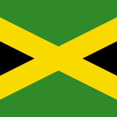 Reggae Dancehall Vybz