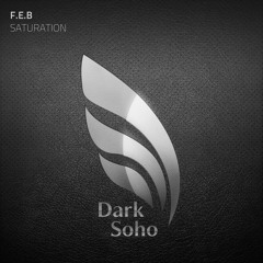 F.E.B - Saturation (Original Mix) [PREVIEW]
