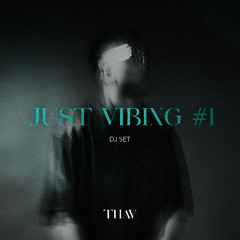 JUST VIBING #1 DJ SET AFROHOUSE - THAV