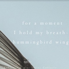 moments between (naviarhaiku449)