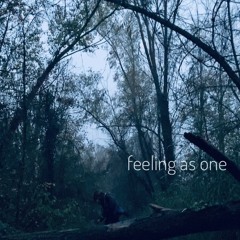 Feeling As One