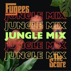 Ready Or Not X Warsaw - Jungle Mix Fringe DnB