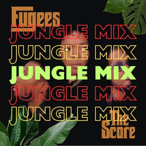 Ready Or Not X Warsaw - Jungle Mix Fringe DnB